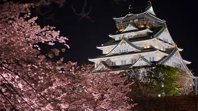 大阪桜ライトアップ・夜桜（大阪城公園）