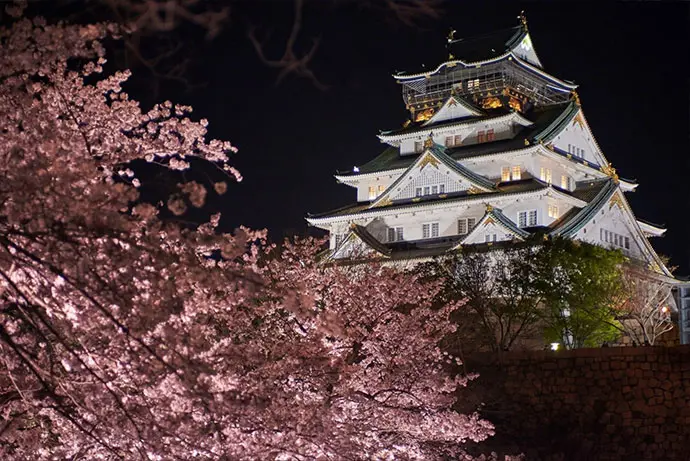 大阪城 西の丸庭園 観桜ナイター2026