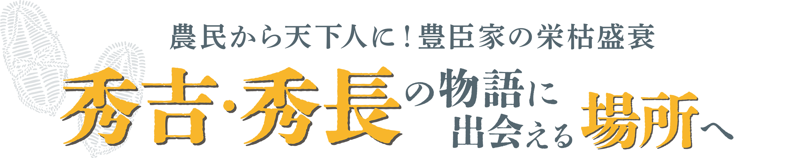 農民から天下人に！豊臣家の栄枯盛衰。秀吉・秀長の物語に出会える場所へ。