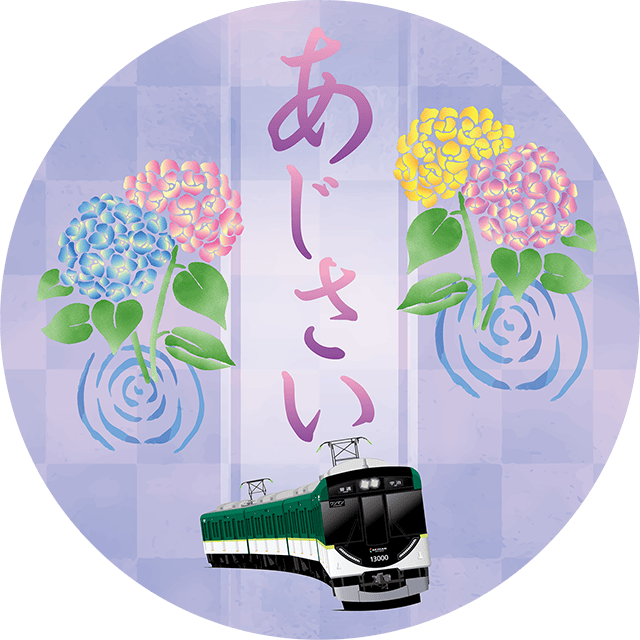 初夏の花ヘッドマークデザイン13000系