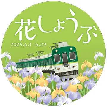 花しょうぶ 2025.6.1-6.29
