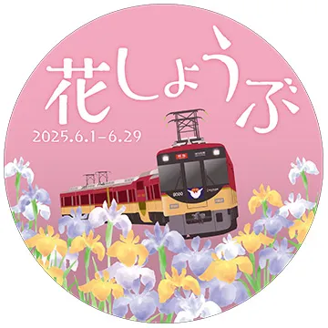 花しょうぶ 2025.6.1-6.29