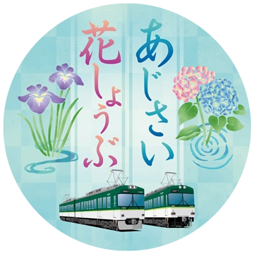 あじさい 花しょうぶ