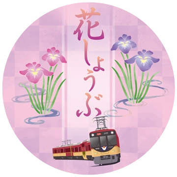 花しょうぶ