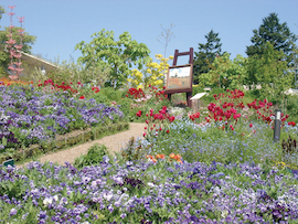 Garden Museum Hiei