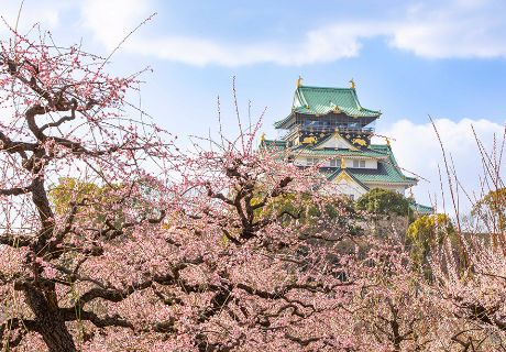 The Osaka Castle Donjon