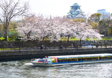 The Osaka Castle Donjon