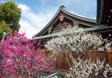 Osaka Tenmangu Shrine