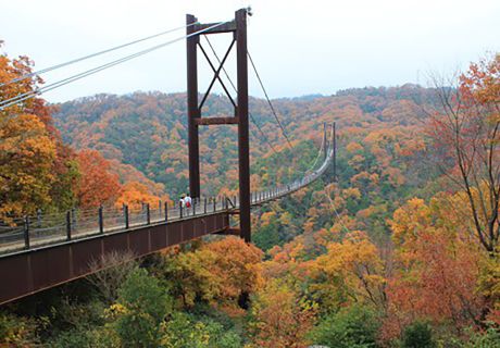 Hoshi no Buranko Bridge