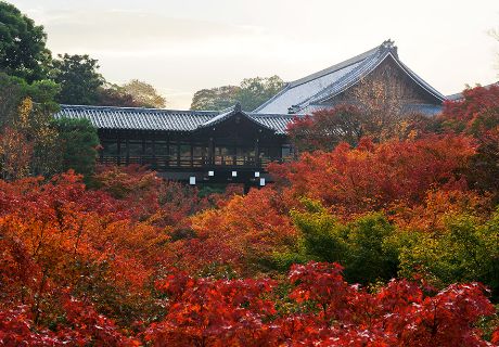 Tofuku-ji Temple