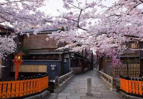 Shirakawa River in Gion