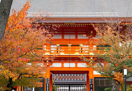 Yasaka-jinja Shrine