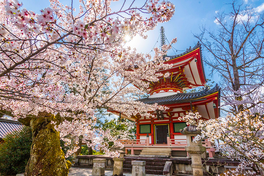 Chion-in Temple