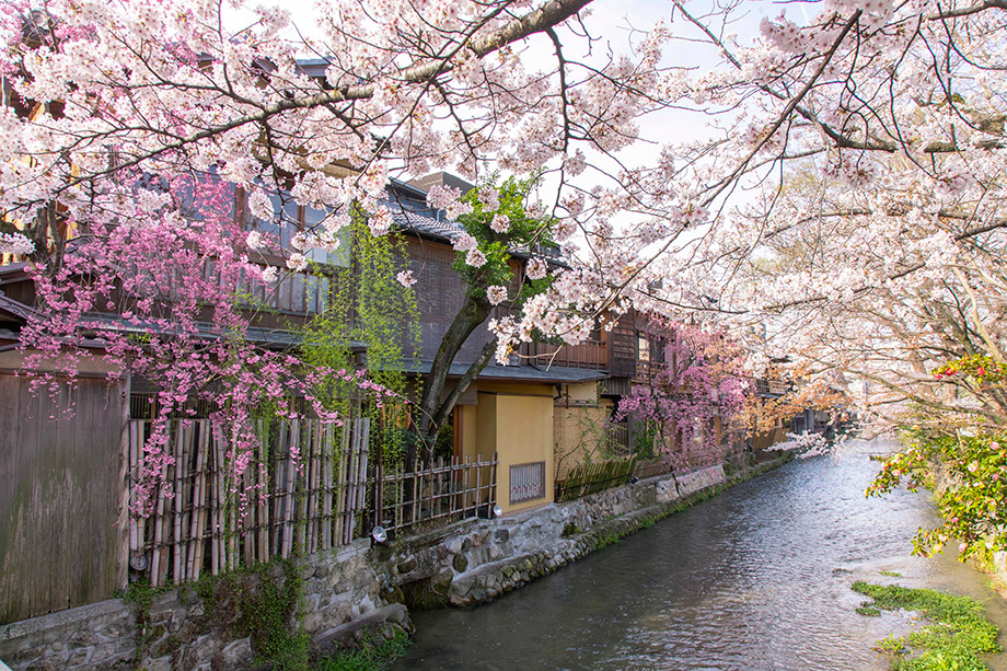 Shirakawa River in Gion