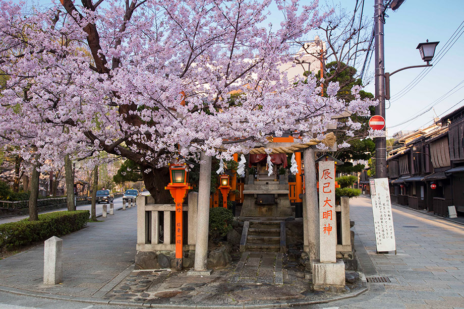 기온시라카와(祇園白川)