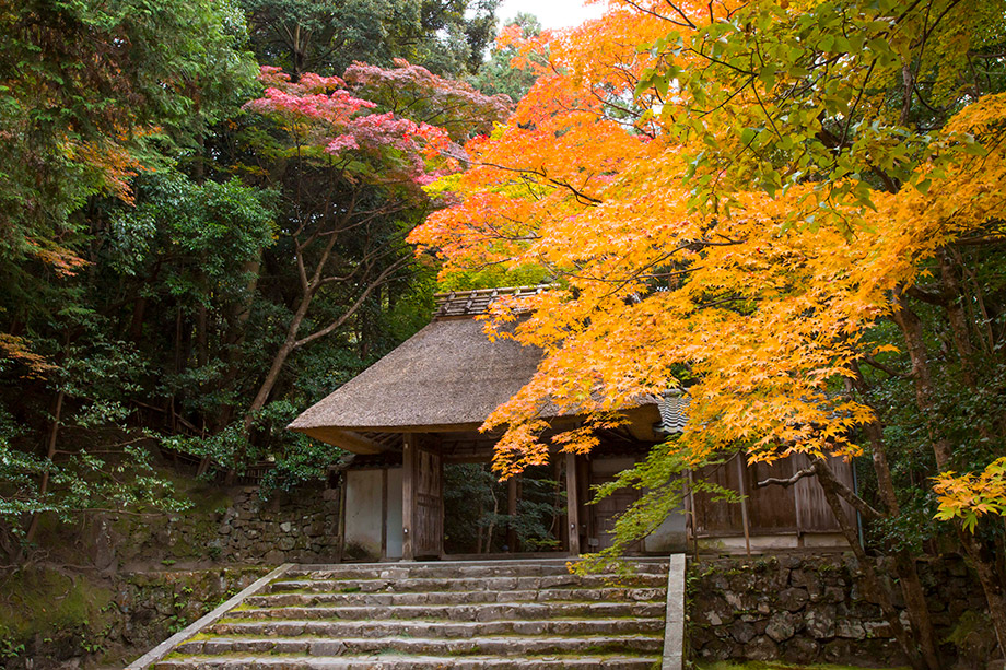 Honen-in Temple