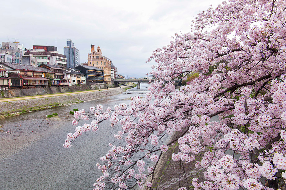 鴨川