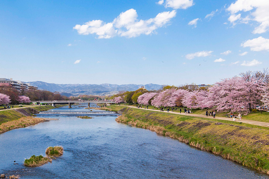 Kamo River