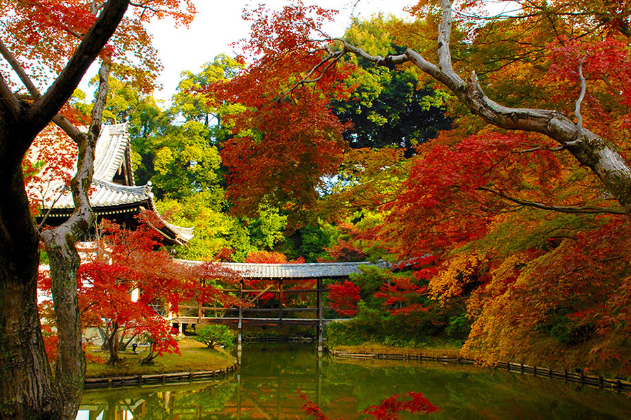 Kodai-ji Temple