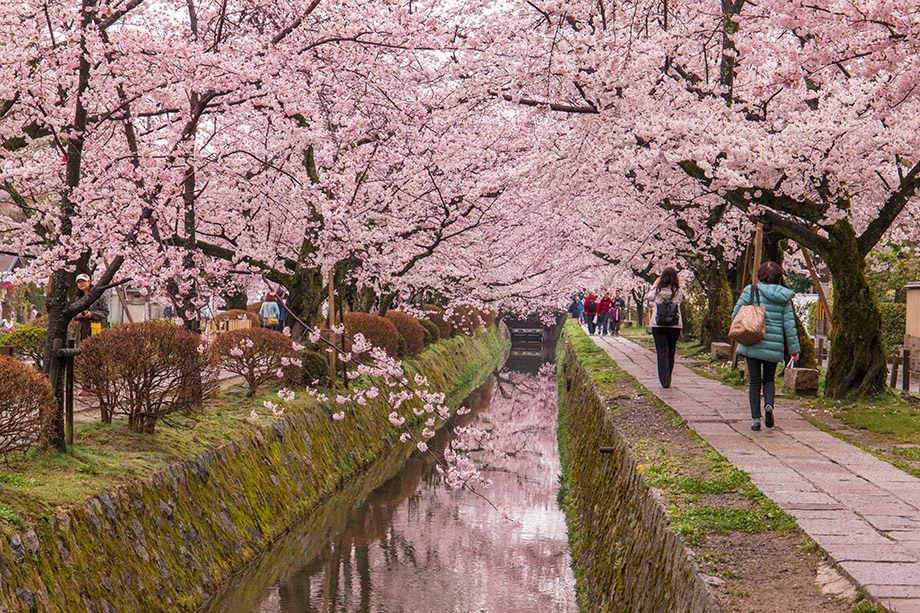 Tetsugaku No Michi (The Philosopher's Walk)