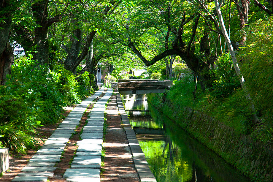 Tetsugaku No Michi (The Philosopher's Walk)