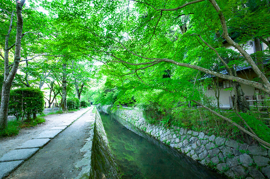 Tetsugaku No Michi (The Philosopher's Walk)