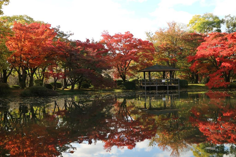 京都府立植物园