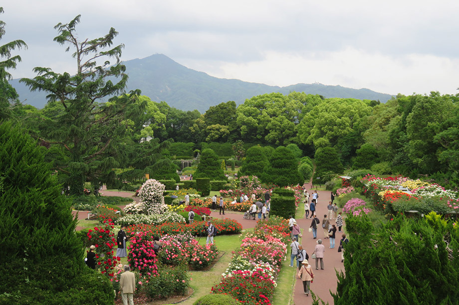 Kyoto Botanical Gardens