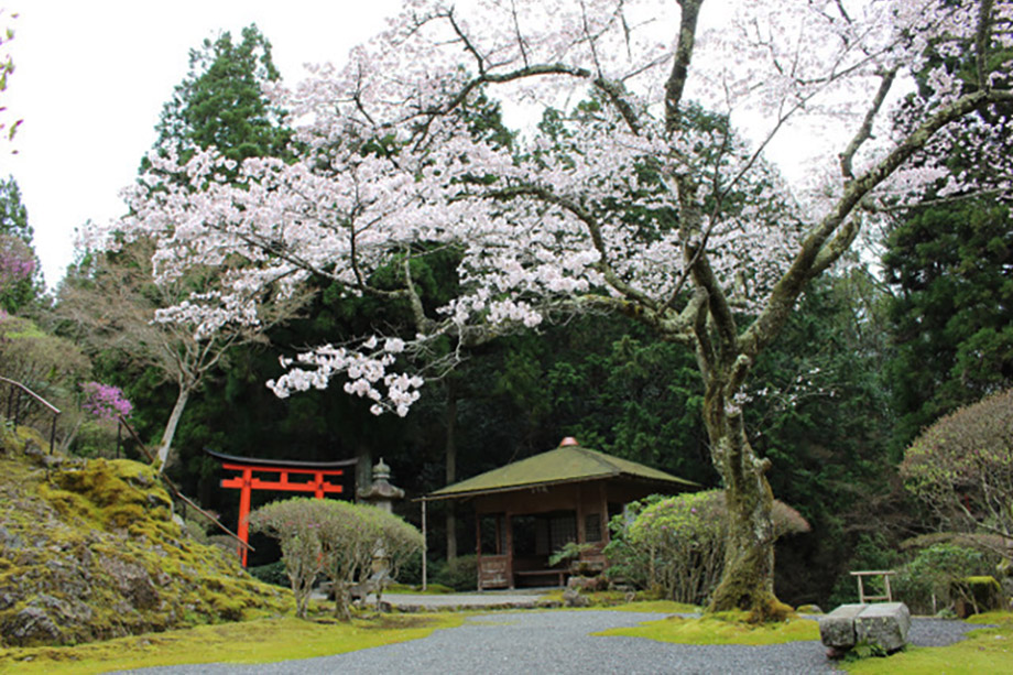 Hakuryuen Garden