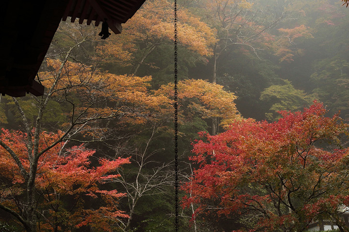 Kurama-dera Temple