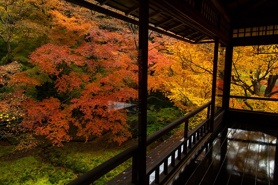 瑠璃光院