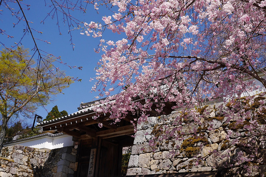 Sanzen-in Temple