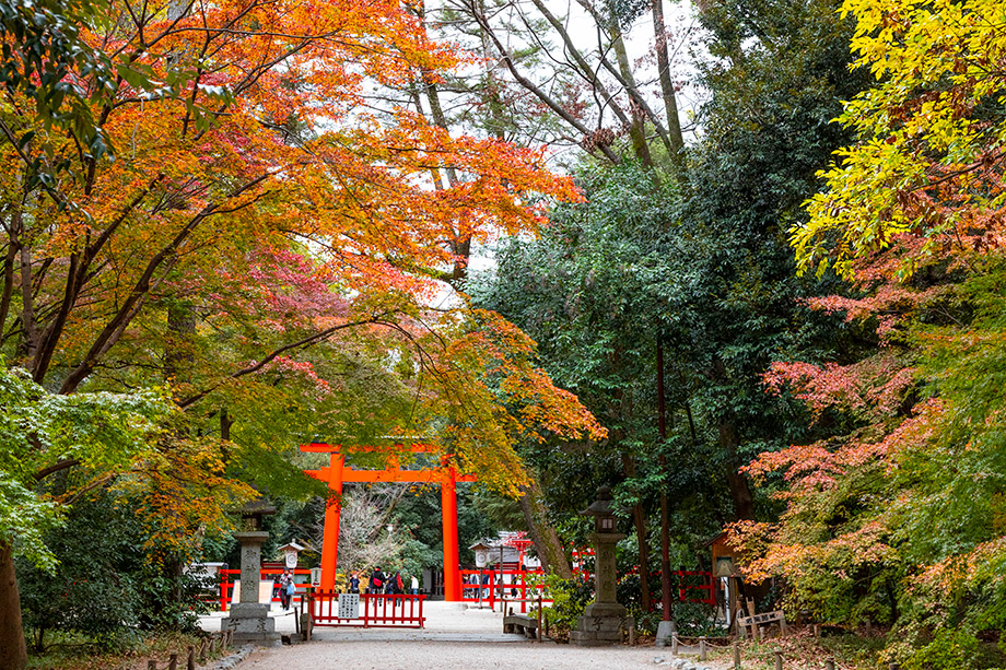 시모가모 신사(下鴨神社)