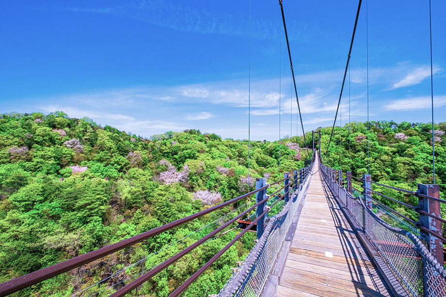 Hoshi no Buranko Bridge