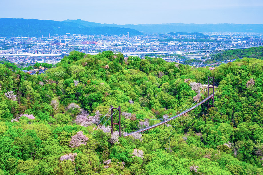 Hoshi no Buranko Bridge