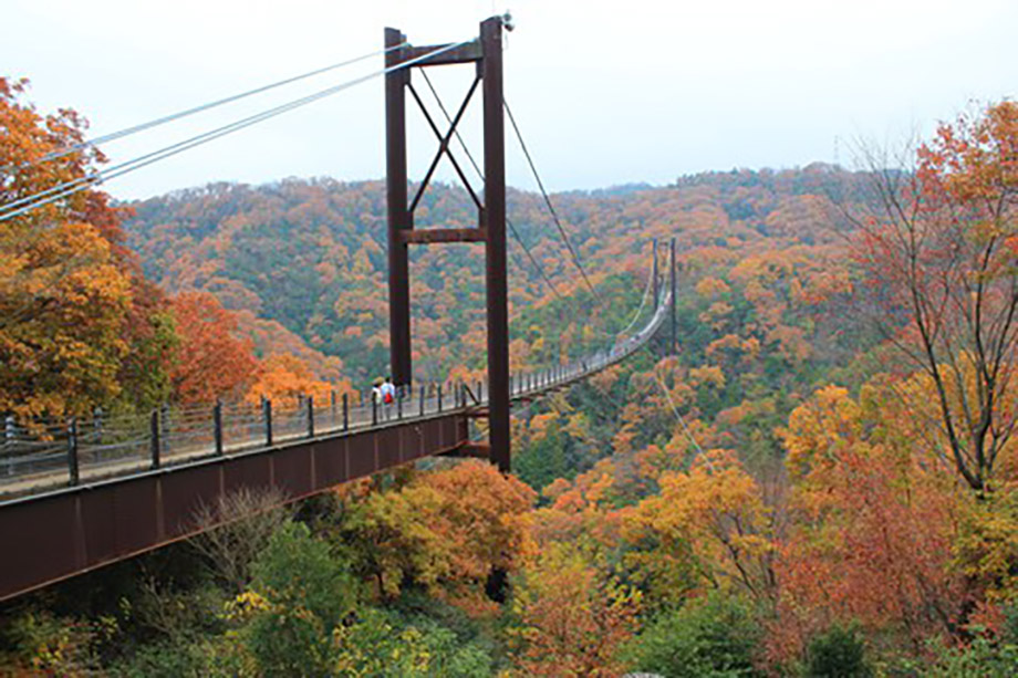 Hoshi no Buranko Bridge