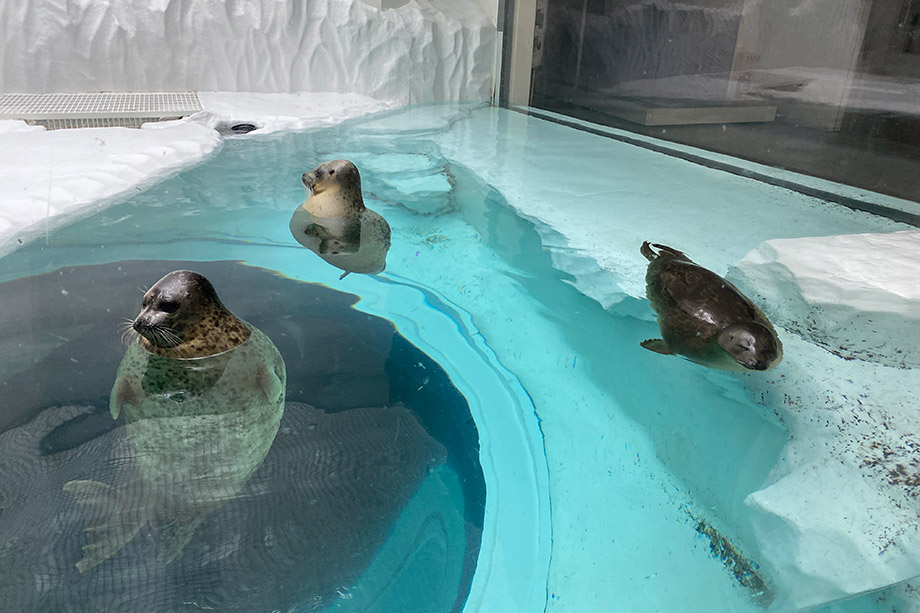 海遊館