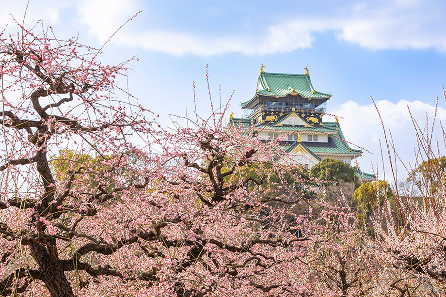 The Osaka Castle Donjon