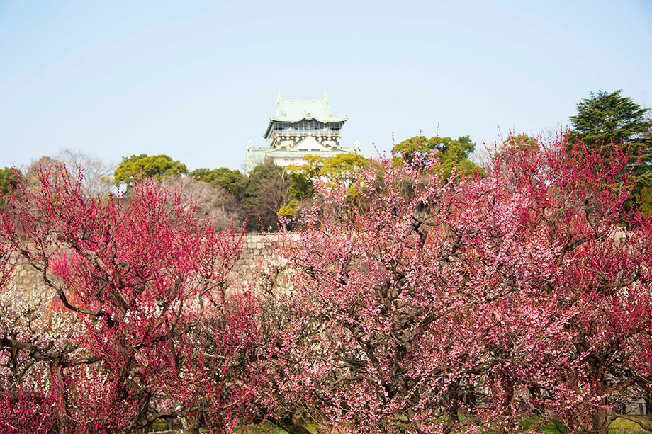 The Osaka Castle Donjon