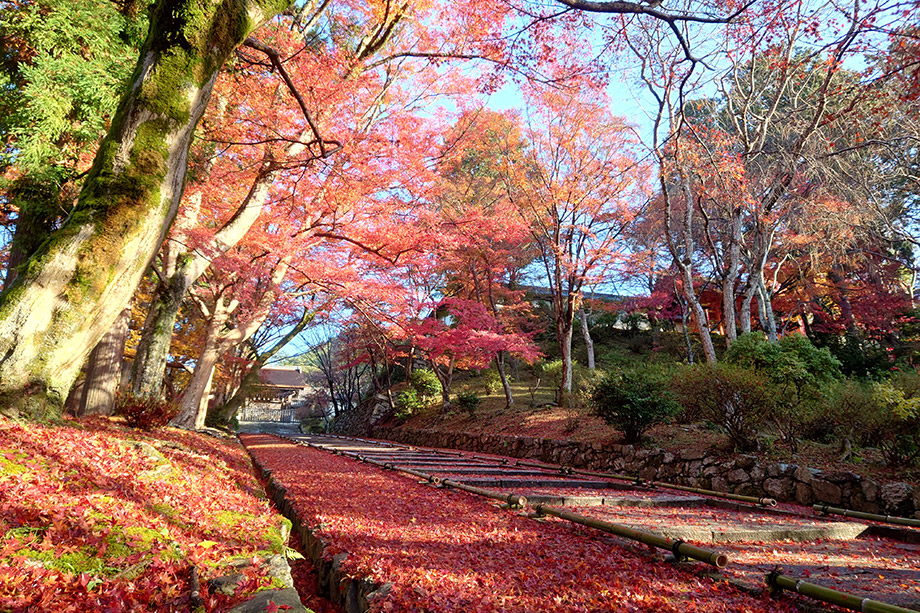 Bishamon-do Temple