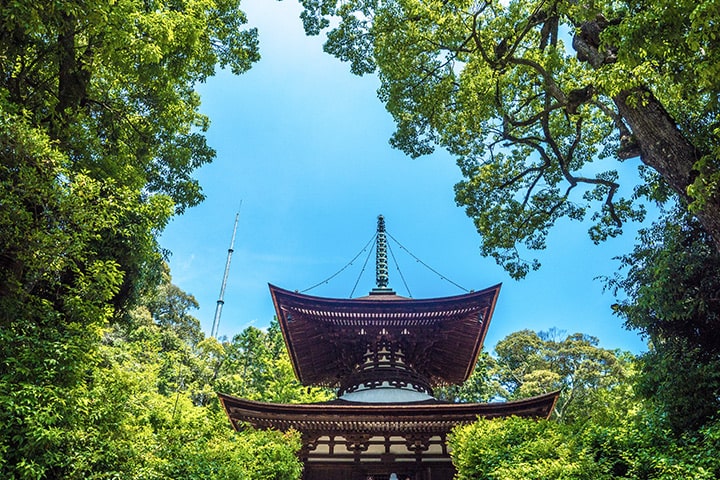 Ishiyamadera Temple