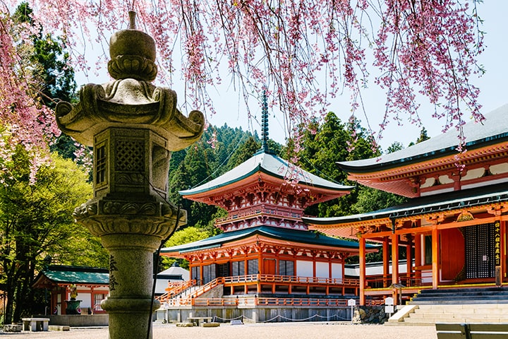 Konpon Chu-do (Enryaku-ji Temple)