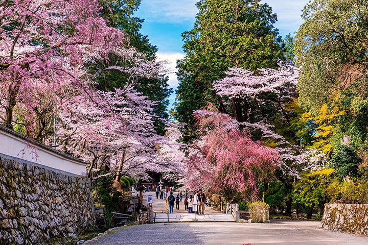 Mii-dera Temple