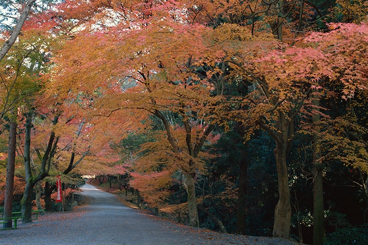 三井寺