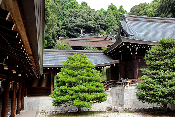 Omi Jingu Shrine