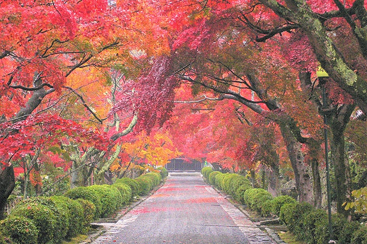 Saikyo-ji Temple