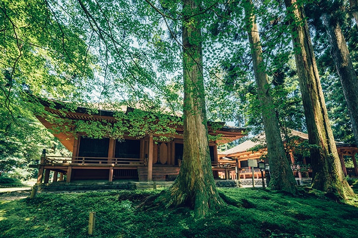 엔랴쿠지(延暦寺) 석가당(釈迦堂)