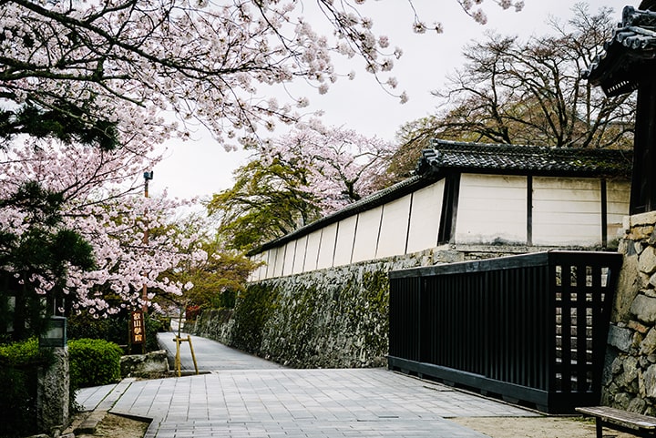 Shiga-in Monzeki ruins