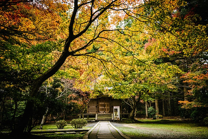 Yokawa Chu-do Hall (Enryaku-ji Temple)