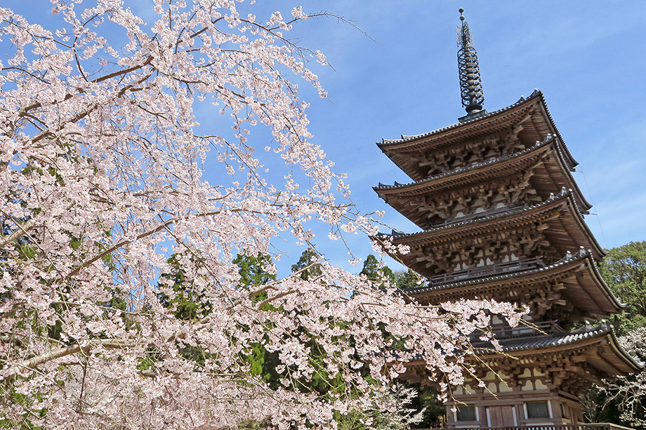 醍醐寺